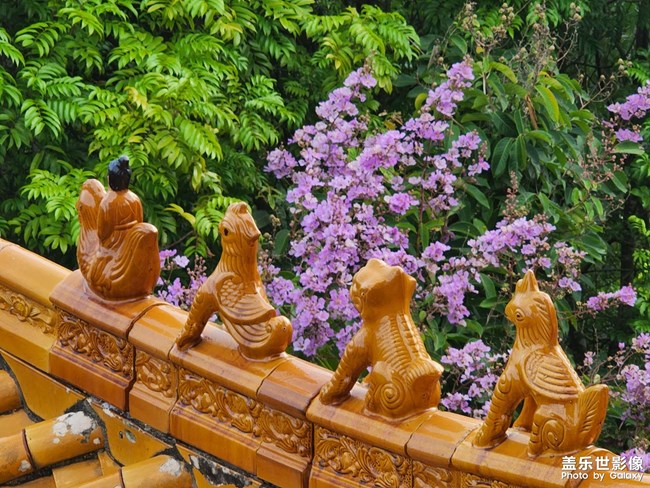 希望能走出分手的阴霾