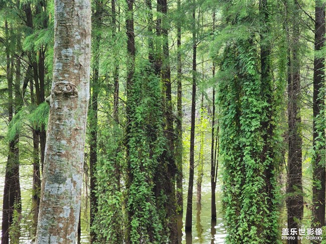 希望能走出分手的阴霾
