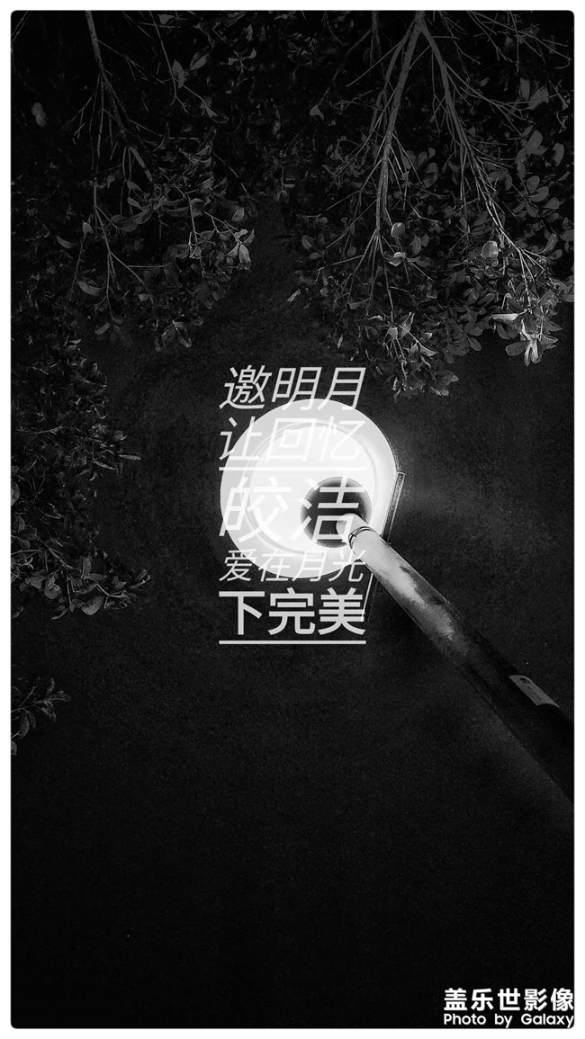 十七月下花前