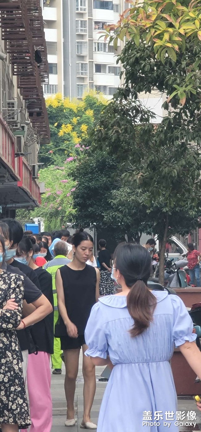 早上5点的生态公园