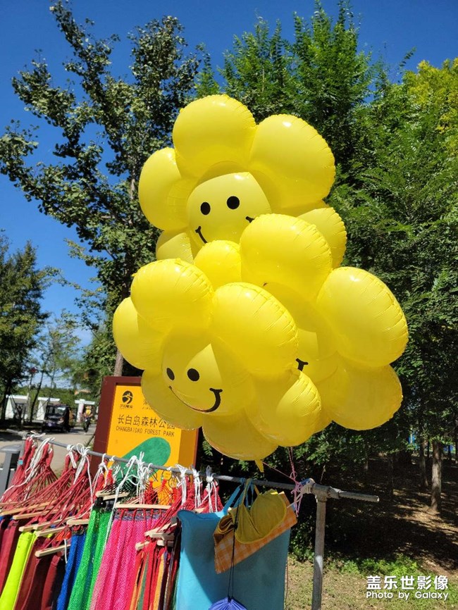 公园随拍