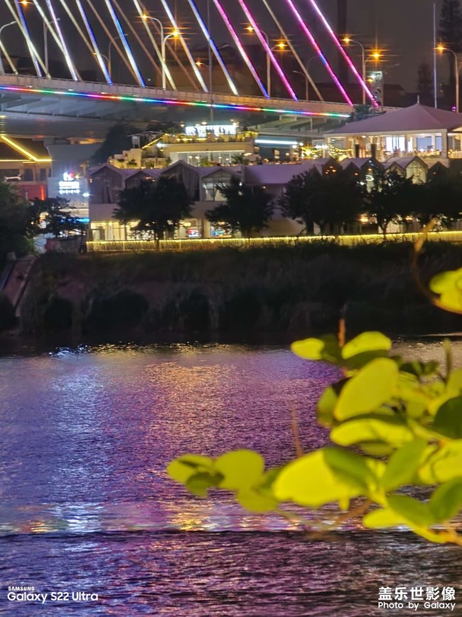 夜绿之美