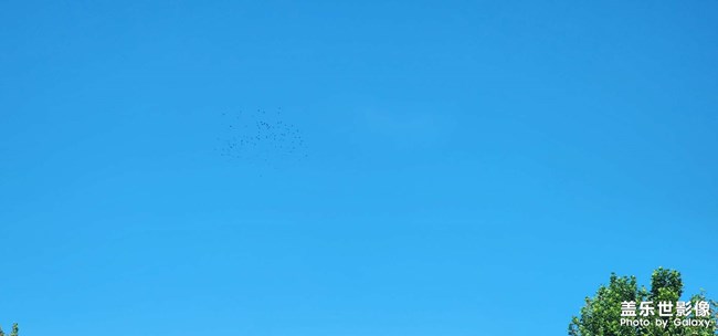 瓦蓝蓝的天空 飞老楞