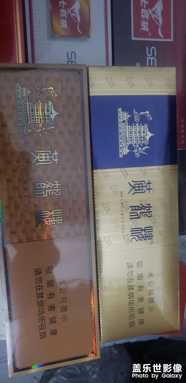 七匹狼