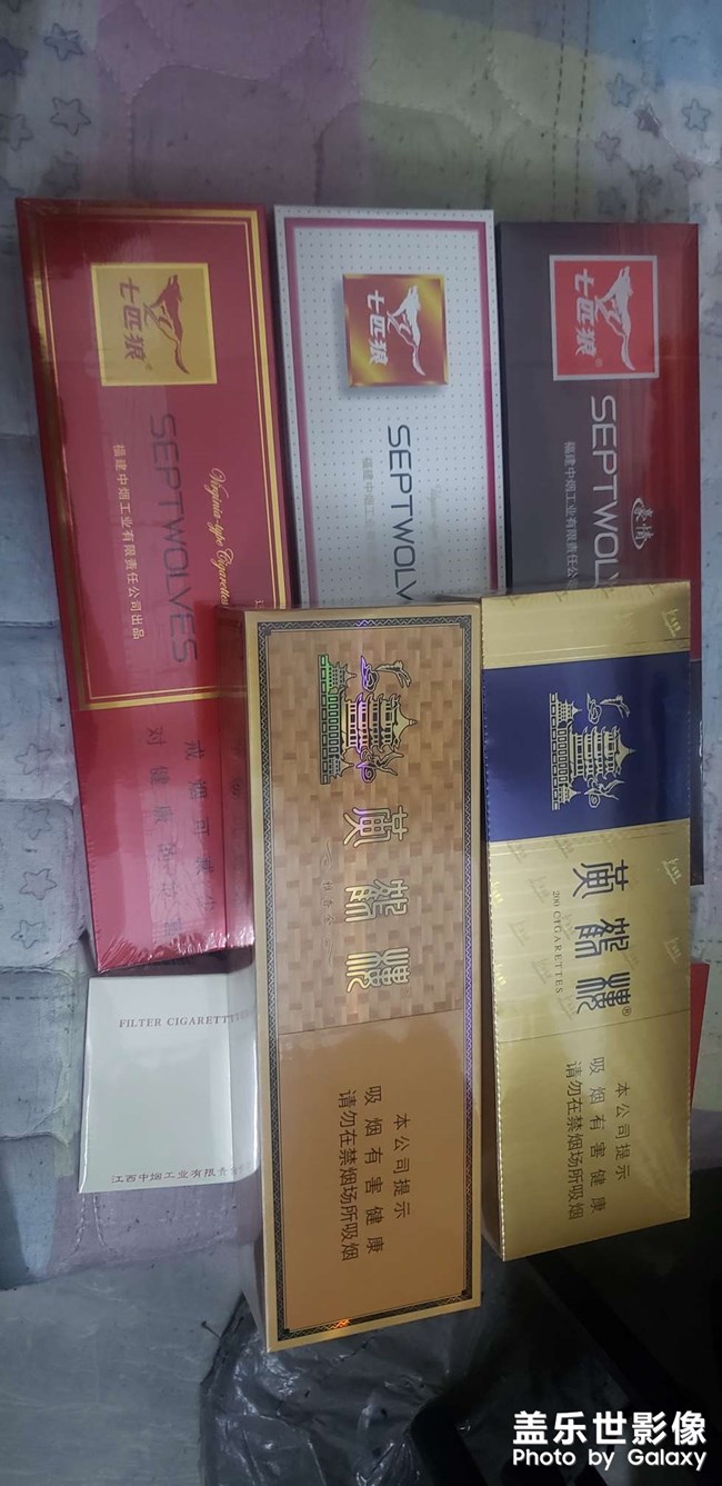七匹狼