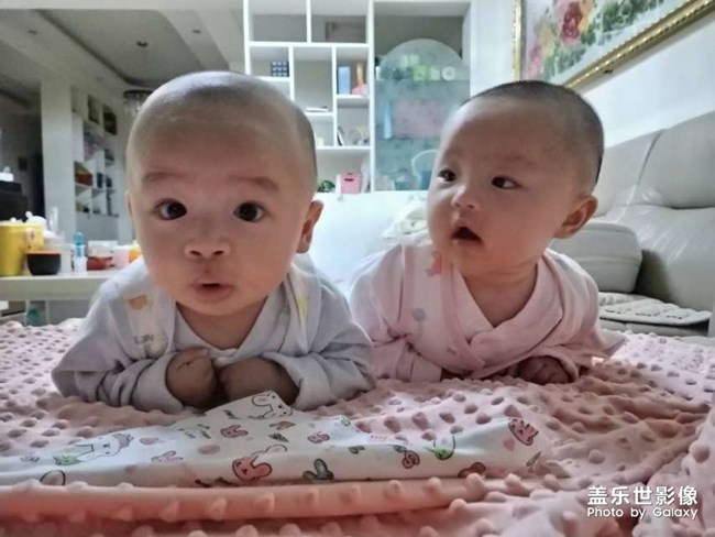 姐弟