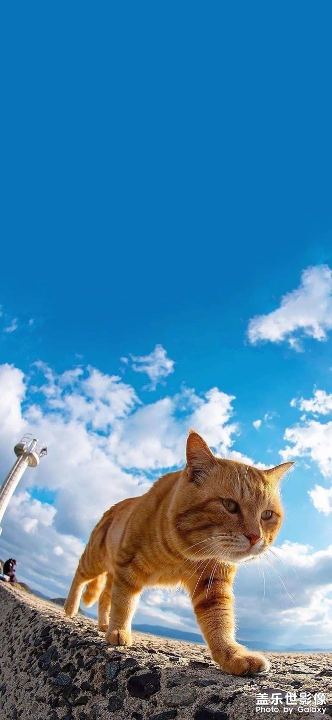早安早安