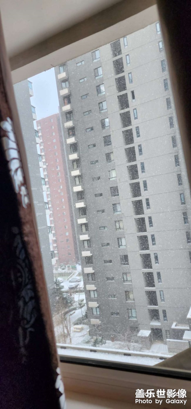 初雪