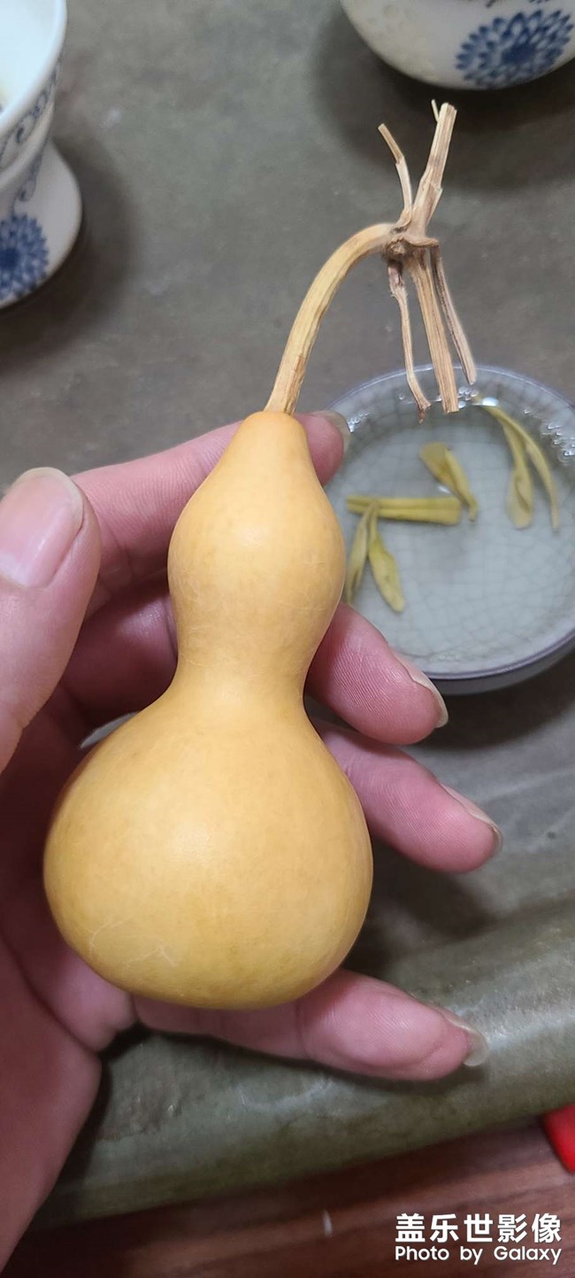 葫芦娃。。