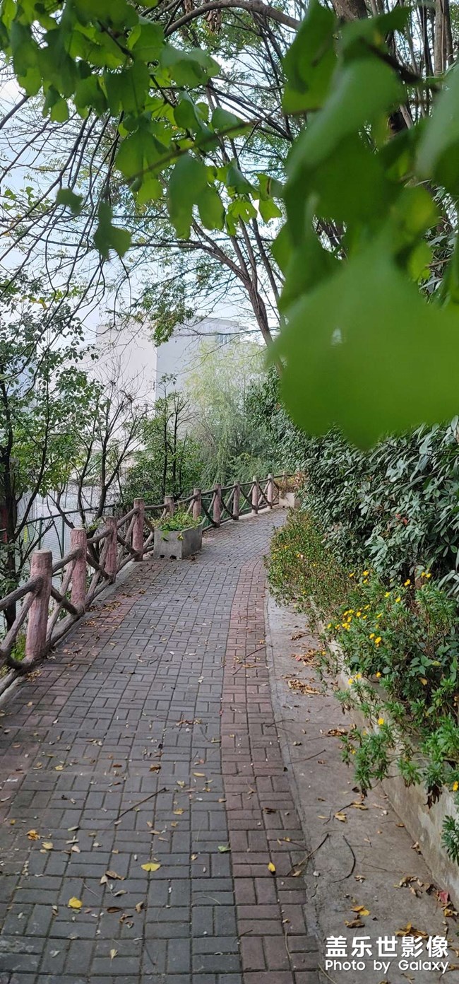 羊了的来报个名
