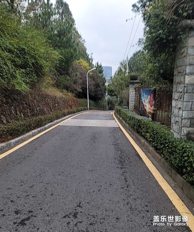 羊了的来报个名