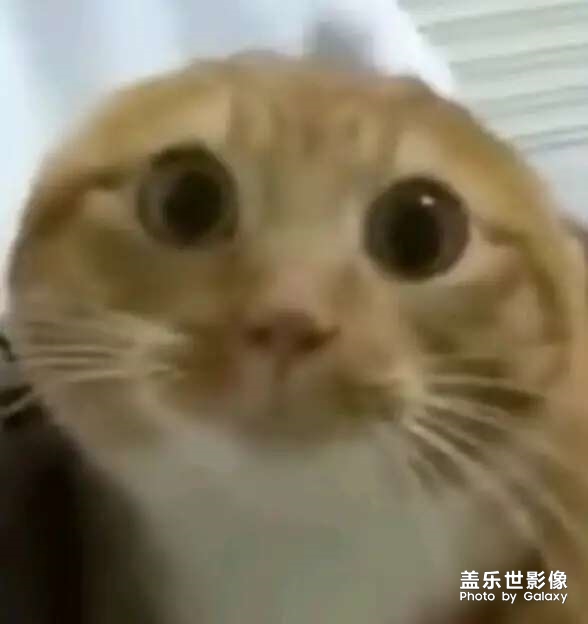 新年快乐
