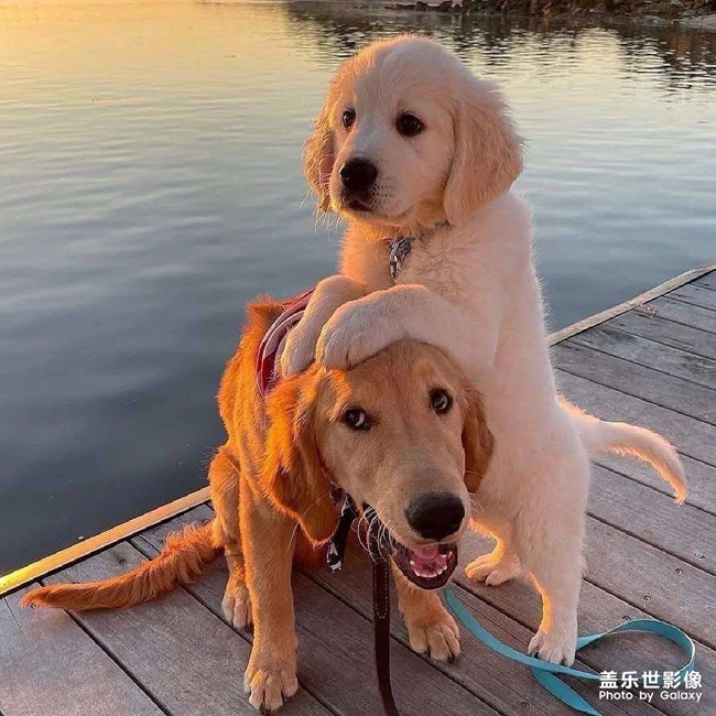 怎么才能发视频啊