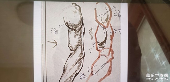 速写人物部分之胳膊画法