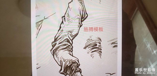 速写人物部分之胳膊画法