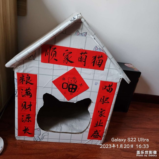 猫窝
