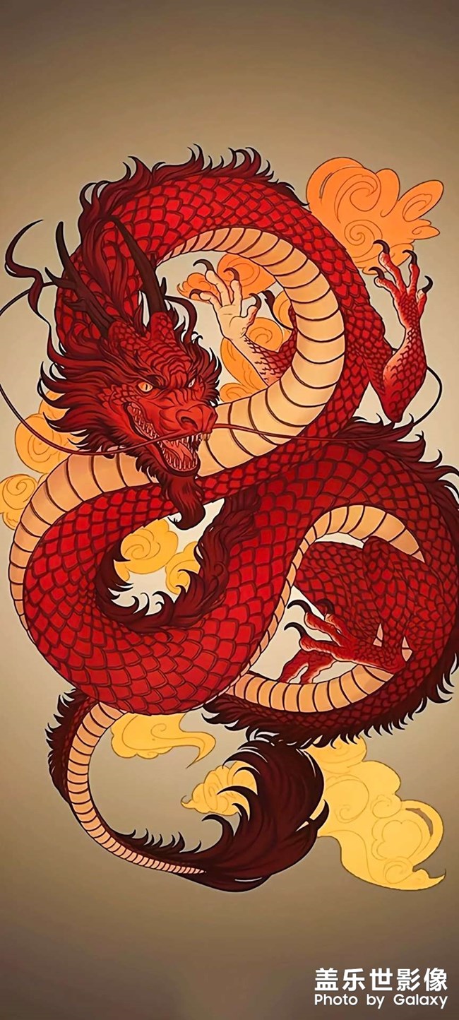 龙龙龙