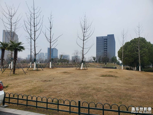 南京市广场很多，免费的停车场太少！