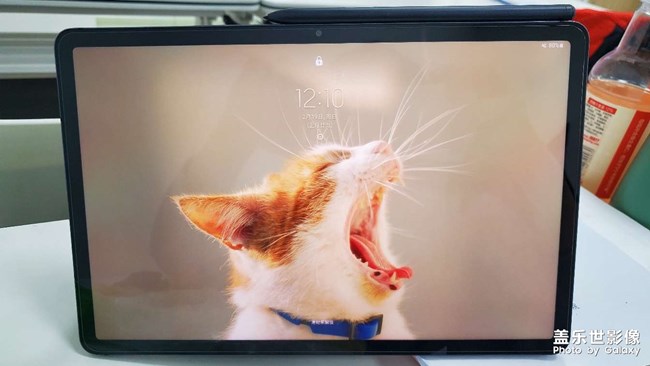 求救！三星自带的动态屏保图片像极了我小时候的时候故去的猫