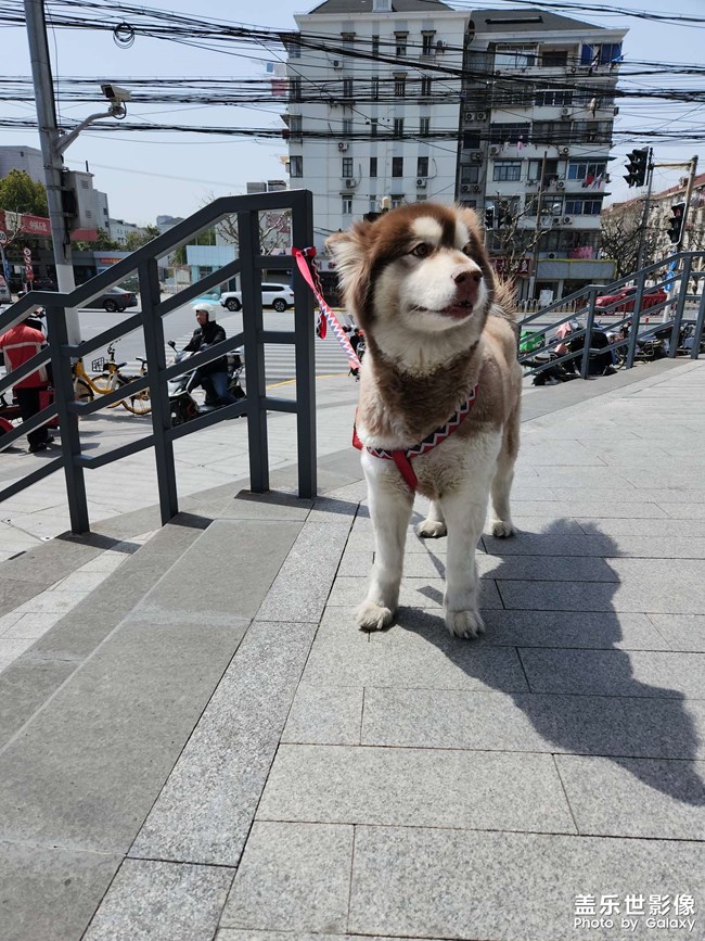 漂亮的小弟弟