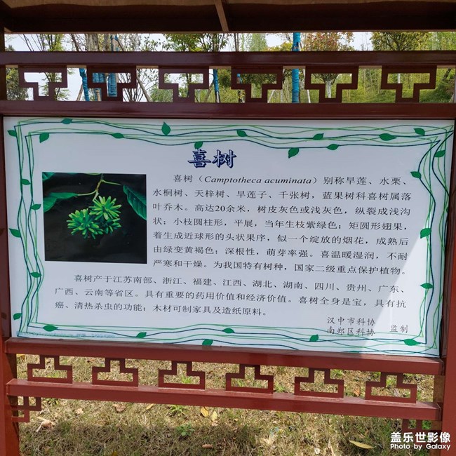 珍粹园介绍