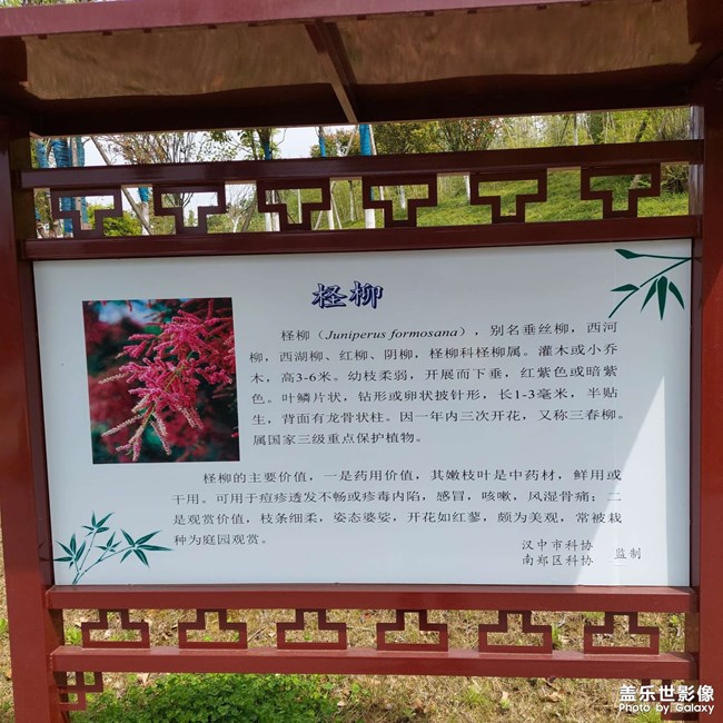 珍粹园介绍