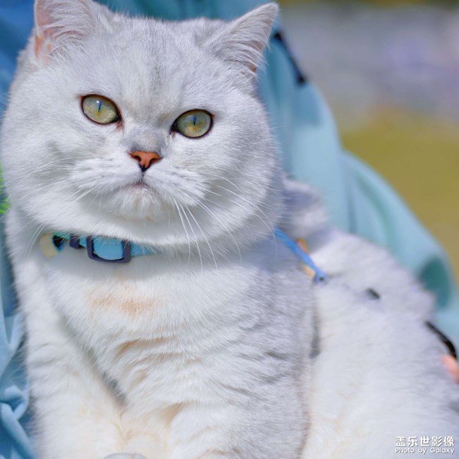刷波存在