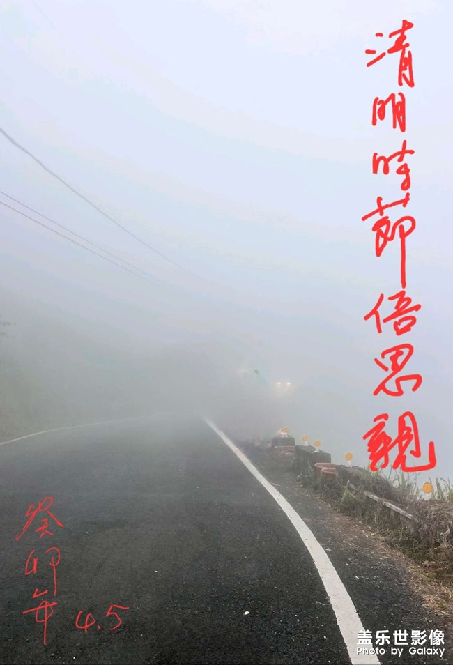 清明时节倍思亲