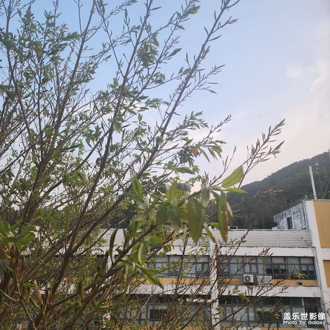 万物复苏