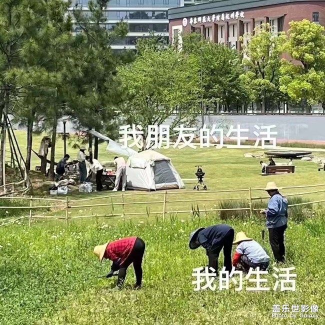 是我