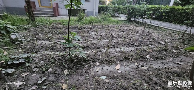 随手拍