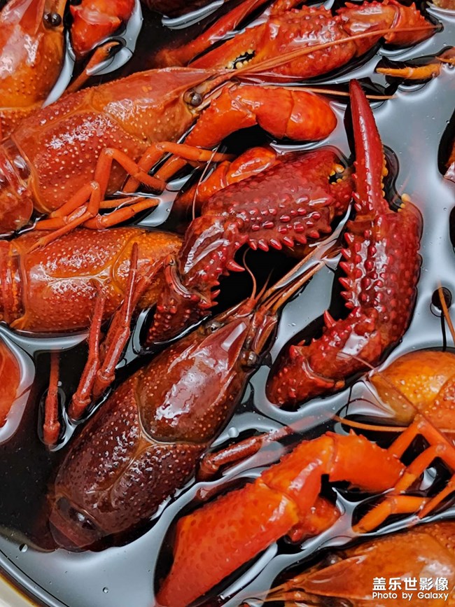 五一偷的浮生闲