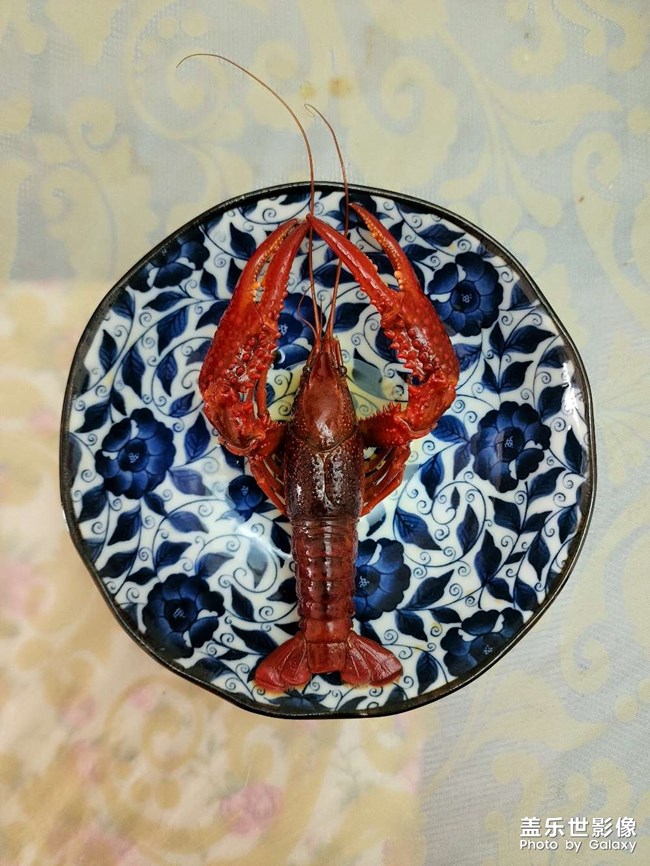 五一偷的浮生闲