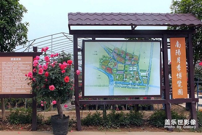 南阳月季博览园