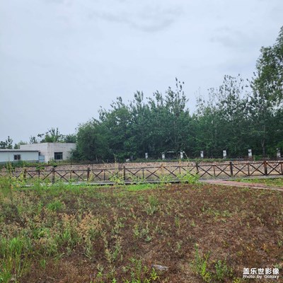 【夏日好时光 】+河边相约