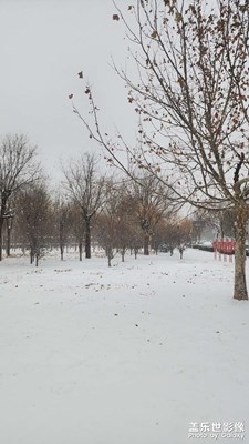 【随处风景 】大雪季节