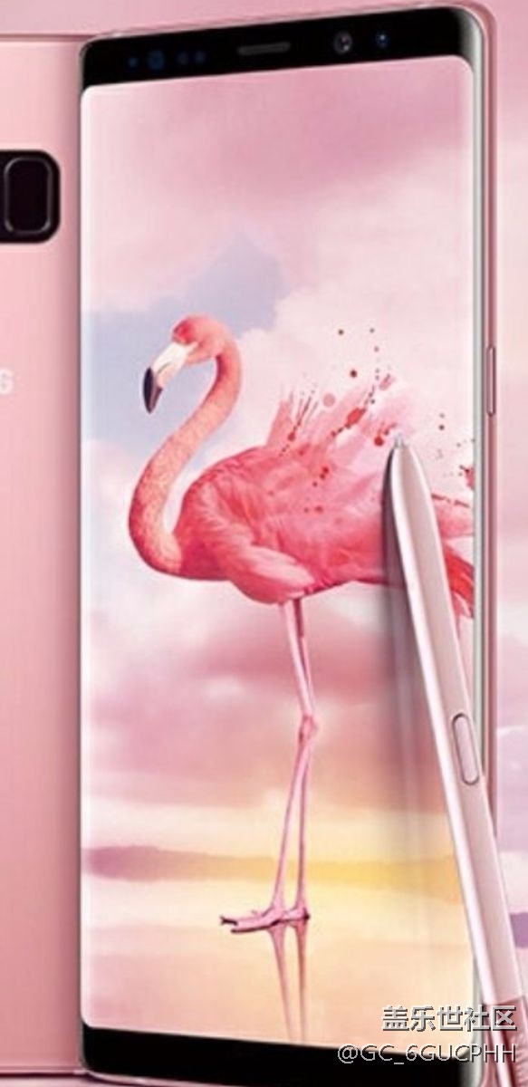 三星note8的这张火烈鸟壁纸可以哪里下载到 好喜欢