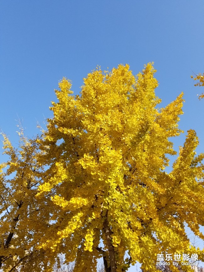 ٱ  