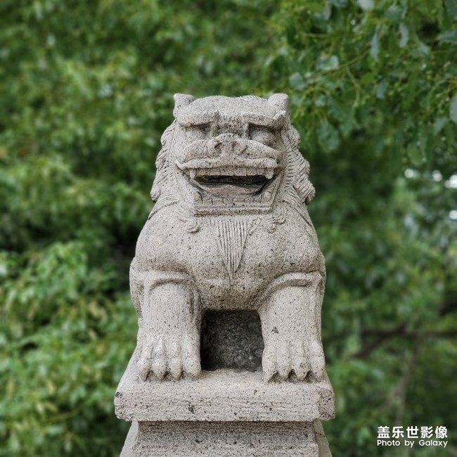 阅江楼的石狮子就是表情包,这个像金馆长,香菜,姚明的名表情.