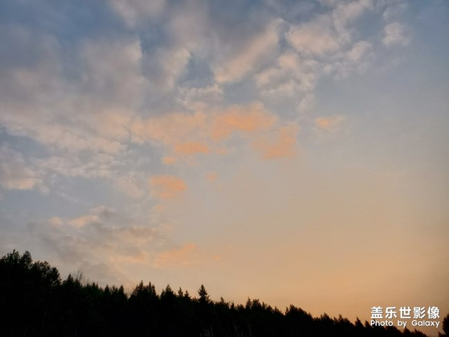 胜日寻芳泗水滨,无边光景一时新