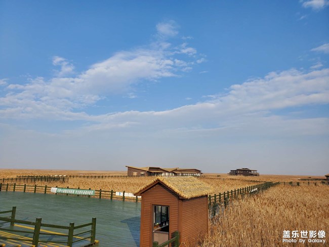 崇明东滩湿地公园