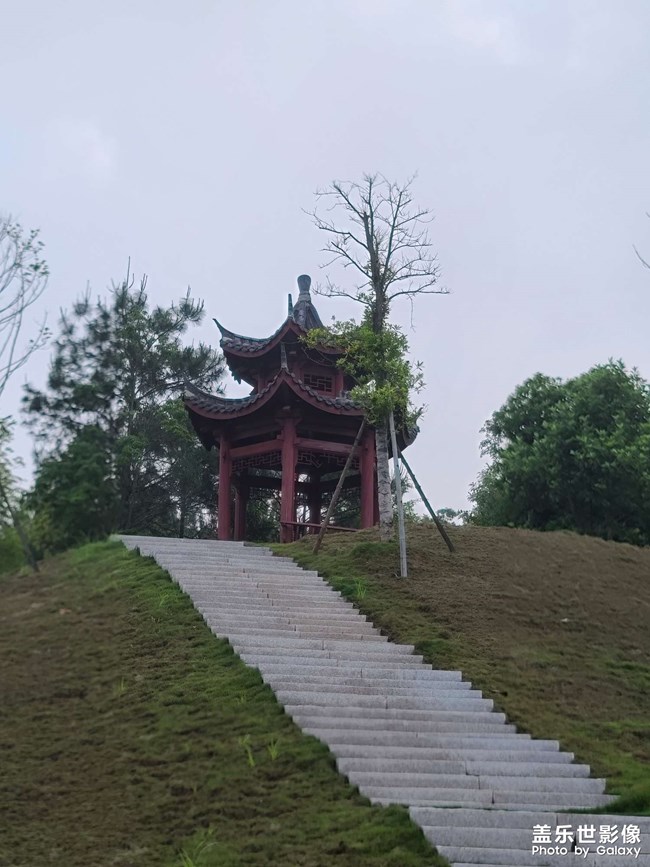 大余梅关古驿道