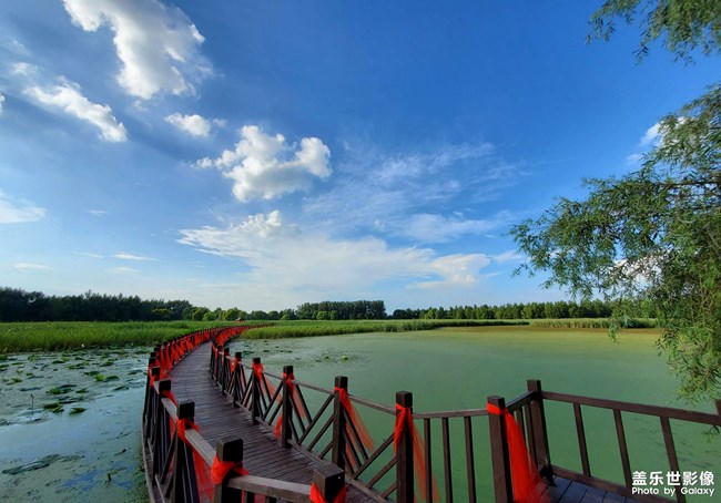 铁岭莲花湿地公园