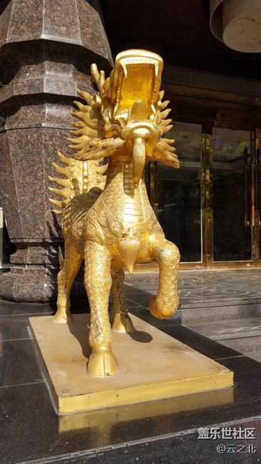 照片中的这两只麒麟,你会判断它们的性别吗?