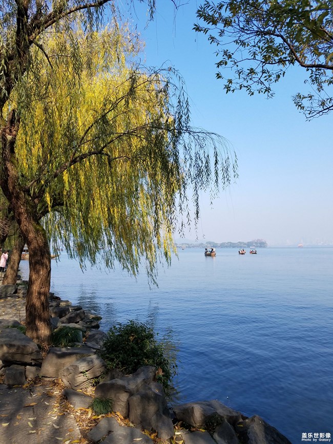 西湖美景 - 盖乐世社区 - 三星手机官方粉丝论坛