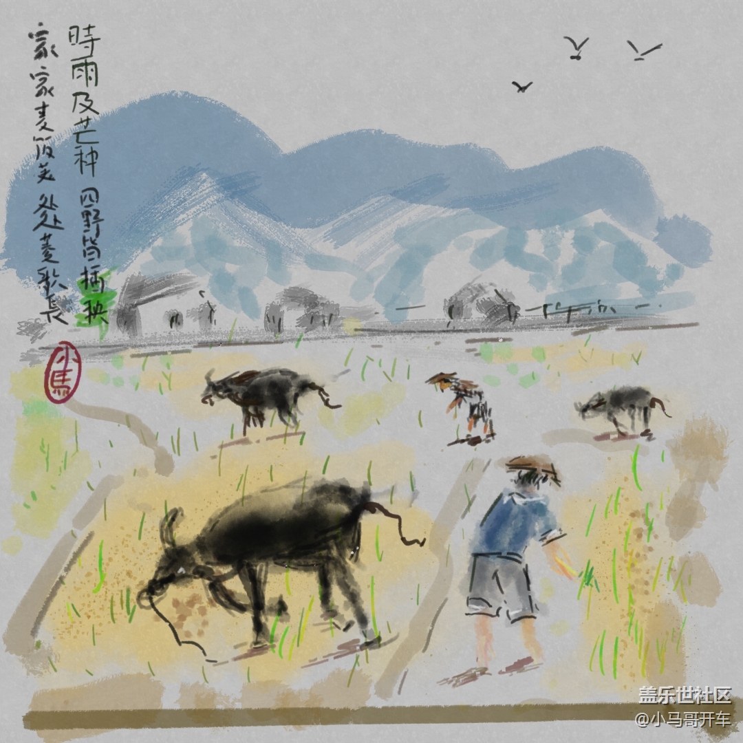 spen小画【芒种】