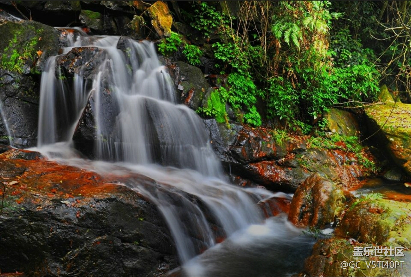 三星note10 涓流拍照