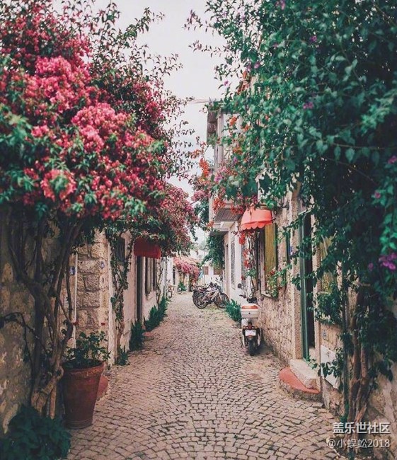 手机插优盘无反应!