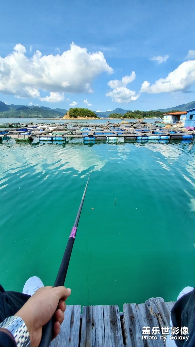 【精彩翻倍】  星期天-------海钓之小桂新码头