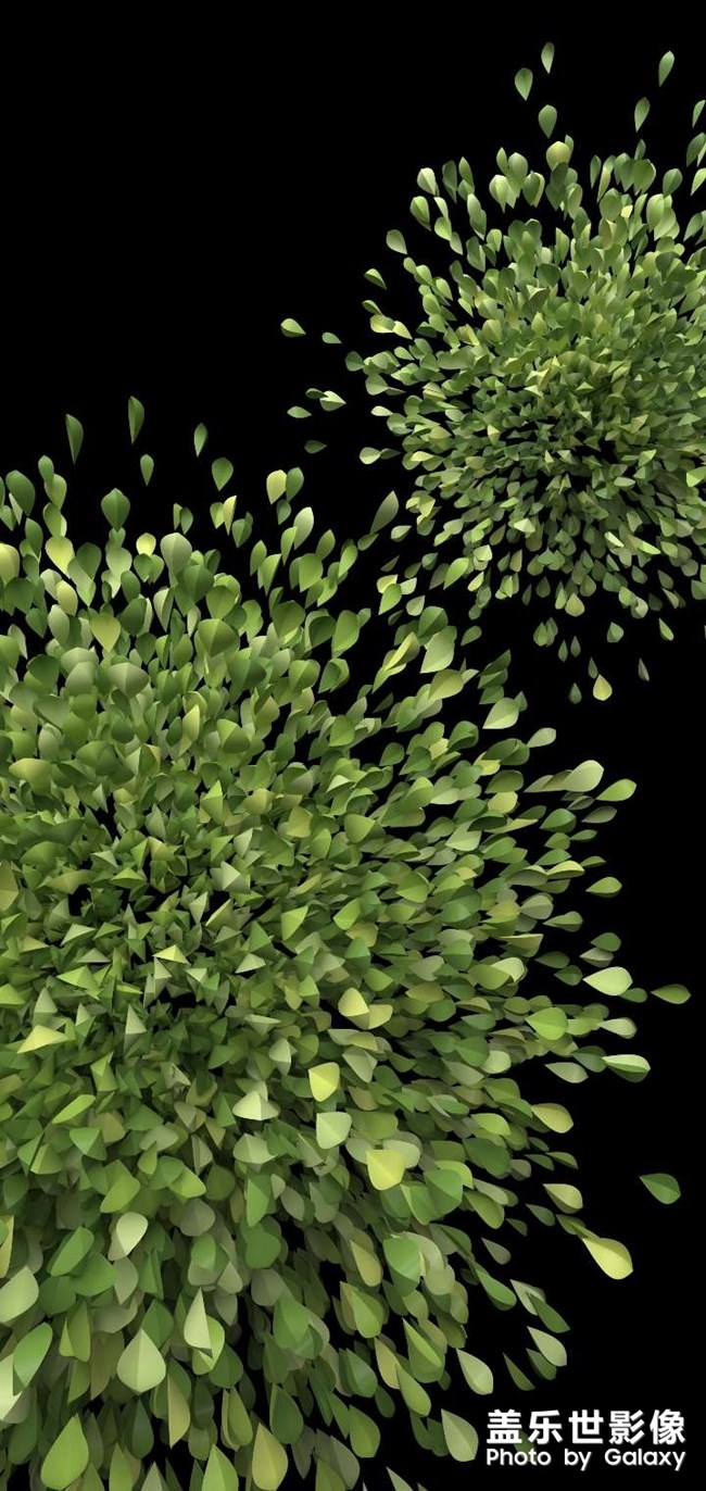 自制"飘花"壁纸